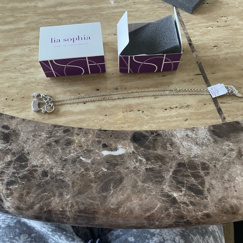 Lia Sophia Shopping Spree Silver Metal Necklace NWT Adjustable 16 - 19 in long - Picture 5 of 13